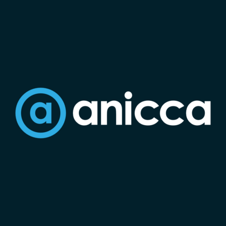 Anicca Digital Marketing Agency logo