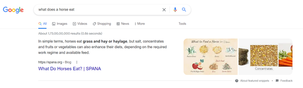 google search what does a horse eat